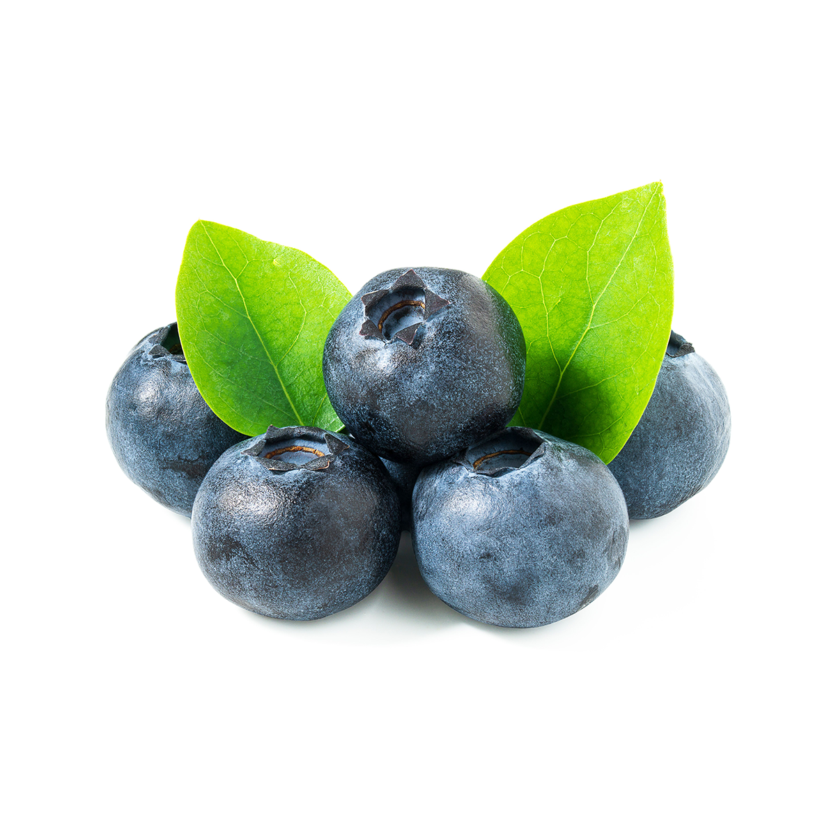 Blueberry best berries peru