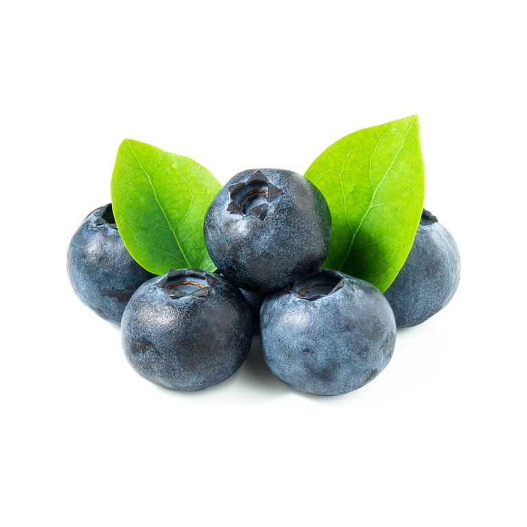 Blueberry - Best Berries Perú || Arandanos